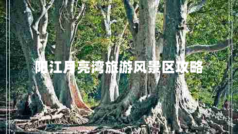 陽(yáng)江月亮灣旅游風(fēng)景區攻略