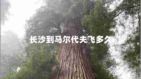 長(cháng)沙到馬爾代夫飛多久