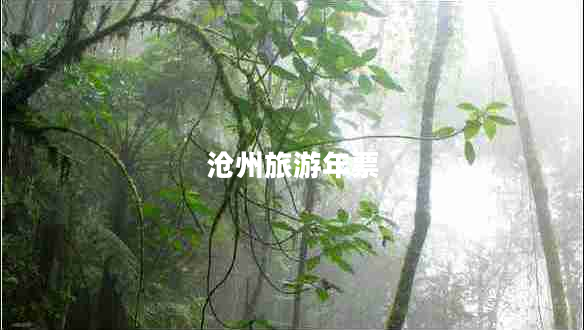 滄州旅游年票