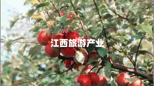 江西旅游產(chǎn)業(yè)