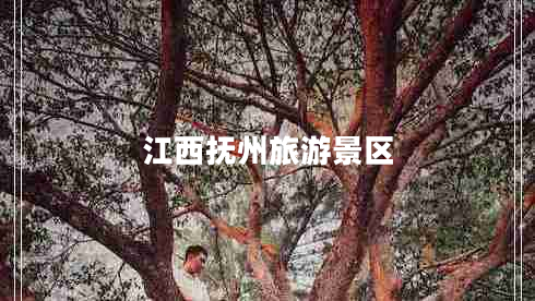 江西撫州旅游景區