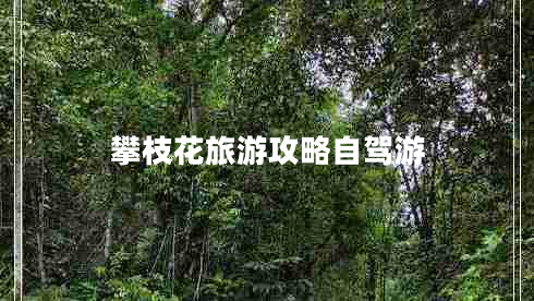 攀枝花旅游攻略自駕游