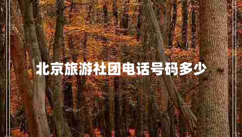北京旅游社團電話(huà)號碼多少