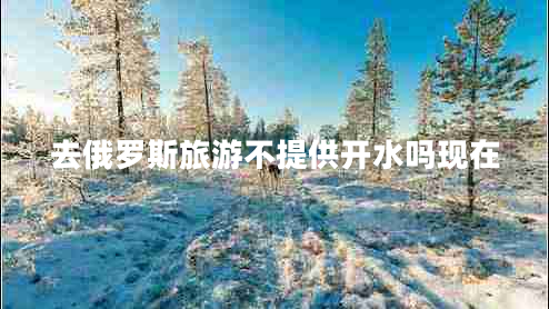 去俄羅斯旅游不提供開(kāi)水嗎現在