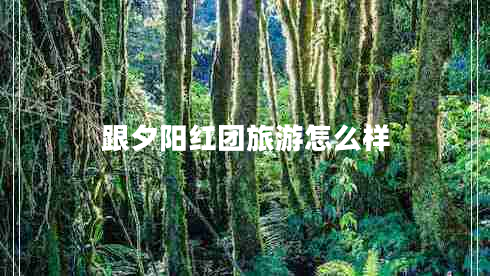 跟夕陽(yáng)紅團旅游怎么樣