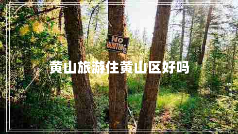 黃山旅游住黃山區好嗎