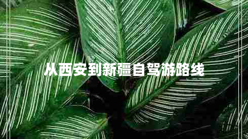 從西安到新疆自駕游路線(xiàn)