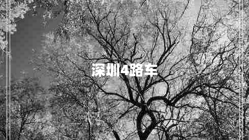 深圳4路車(chē)