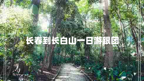 長(cháng)春到長(cháng)白山一日游跟團