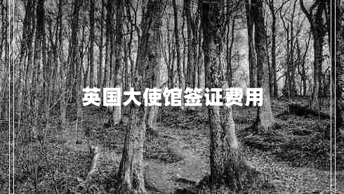 英國大使館簽證費用