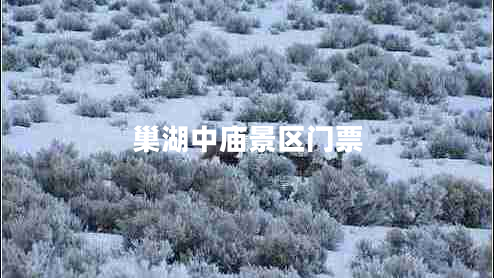 巢湖中廟景區門(mén)票