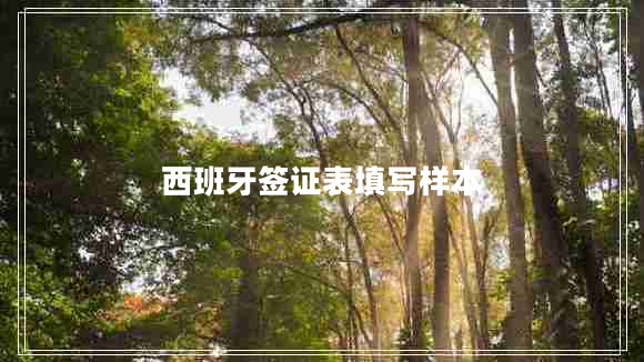 西班牙簽證表填寫(xiě)樣本