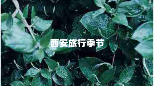 西安旅行季節