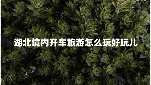 湖北境內開(kāi)車(chē)旅游怎么玩好玩兒