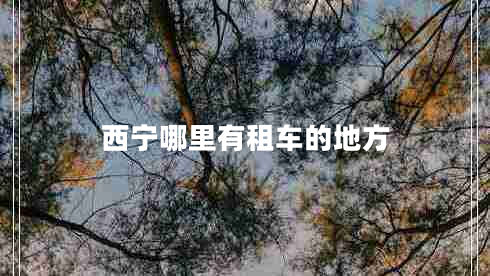 西寧哪里有租車(chē)的地方