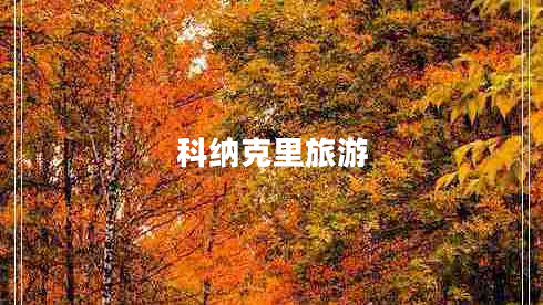 科納克里旅游