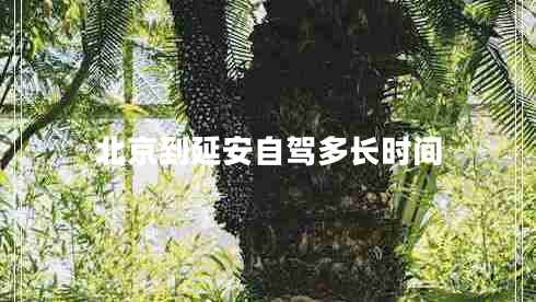 北京到延安自駕多長(cháng)時(shí)間