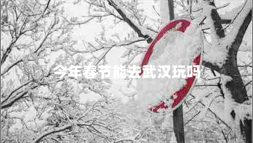 今年春節能去武漢玩嗎