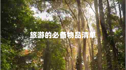 旅游的必備物品清單