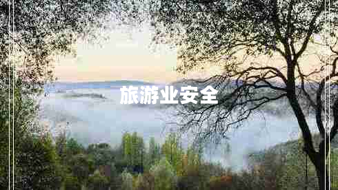 旅游業(yè)安全