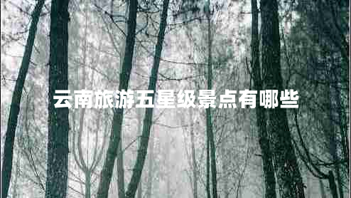 云南旅游五星級景點(diǎn)有哪些