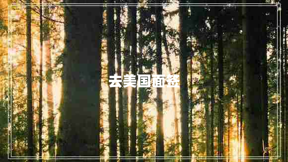 去美國面簽