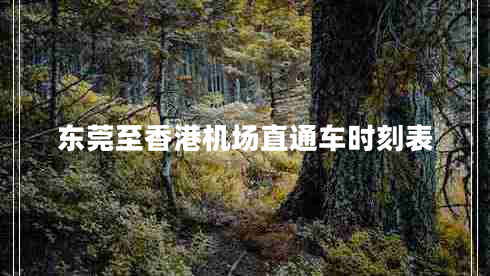 東莞至香港機場(chǎng)直通車(chē)時(shí)刻表