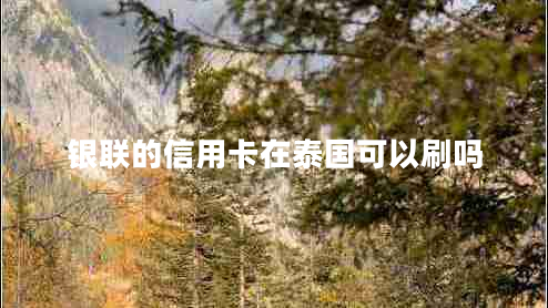 銀聯(lián)的信用卡在泰國可以刷嗎