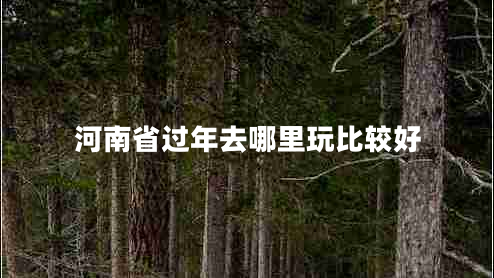 河南省過(guò)年去哪里玩比較好