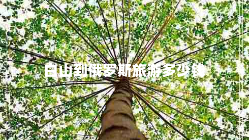 白山到俄羅斯旅游多少錢(qián)