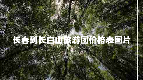 長春到長白山旅游團(tuán)價格表圖片