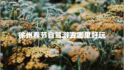徐州春節自駕游去哪里好玩