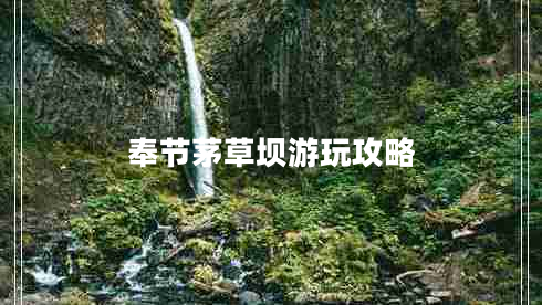 奉節茅草壩游玩攻略