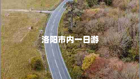 洛陽(yáng)市內一日游