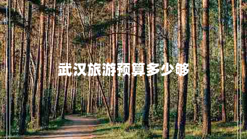 武漢旅游預算多少夠