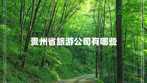 貴州省旅游公司有哪些
