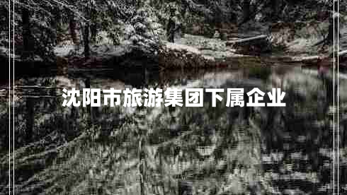 沈陽(yáng)市旅游集團下屬企業(yè)