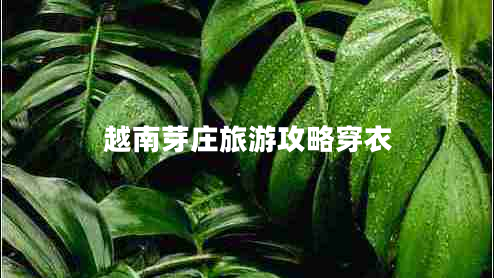 越南芽莊旅游攻略穿衣