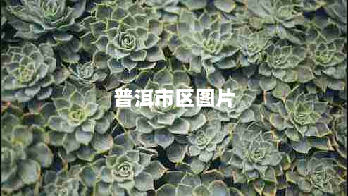 普洱市區圖片