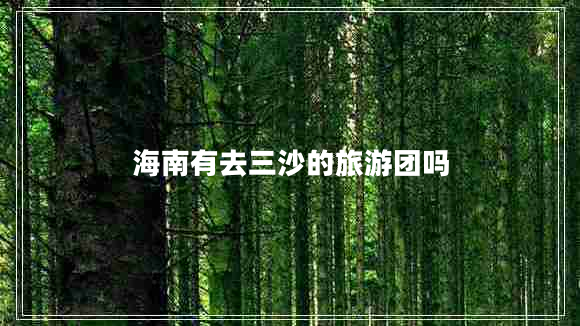海南有去三沙的旅游團嗎