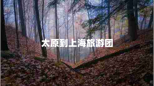 太原到上海旅游團