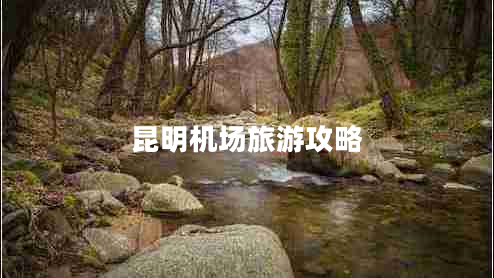 昆明機場(chǎng)旅游攻略