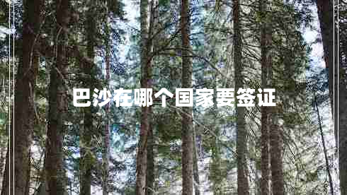 巴沙在哪個(gè)國家要簽證