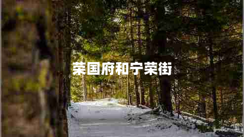 榮國府和寧榮街