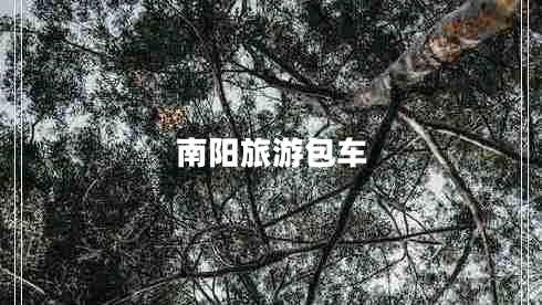 南陽(yáng)旅游包車(chē)