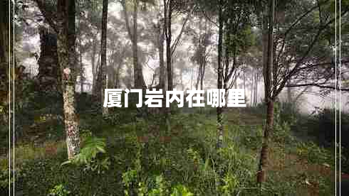 廈門(mén)巖內在哪里