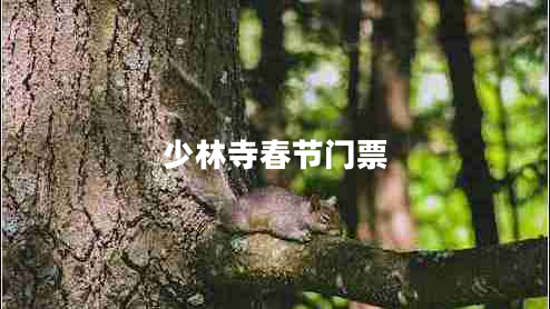 少林寺春節門(mén)票