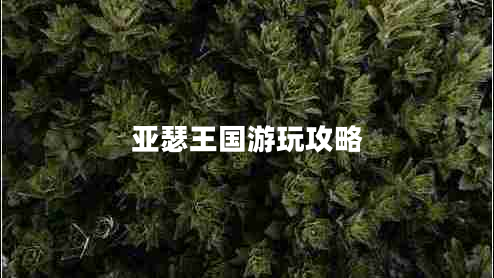 亞瑟王國游玩攻略