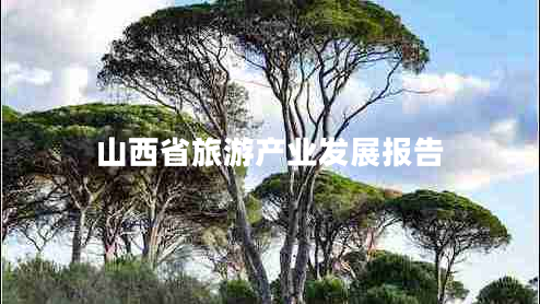 山西省旅游產(chǎn)業(yè)發(fā)展報告