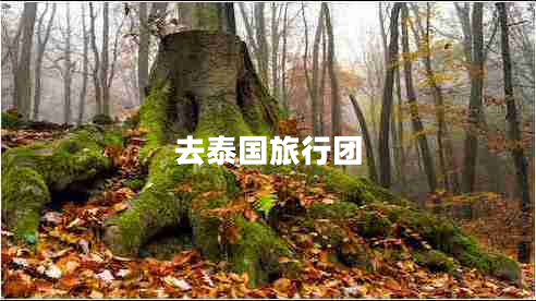 去泰國旅行團